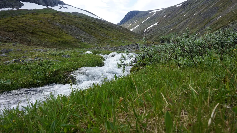 Klicka för att förstora