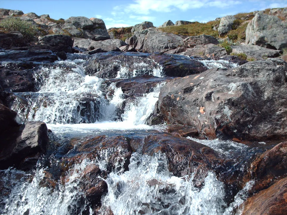 Klicka för att förstora