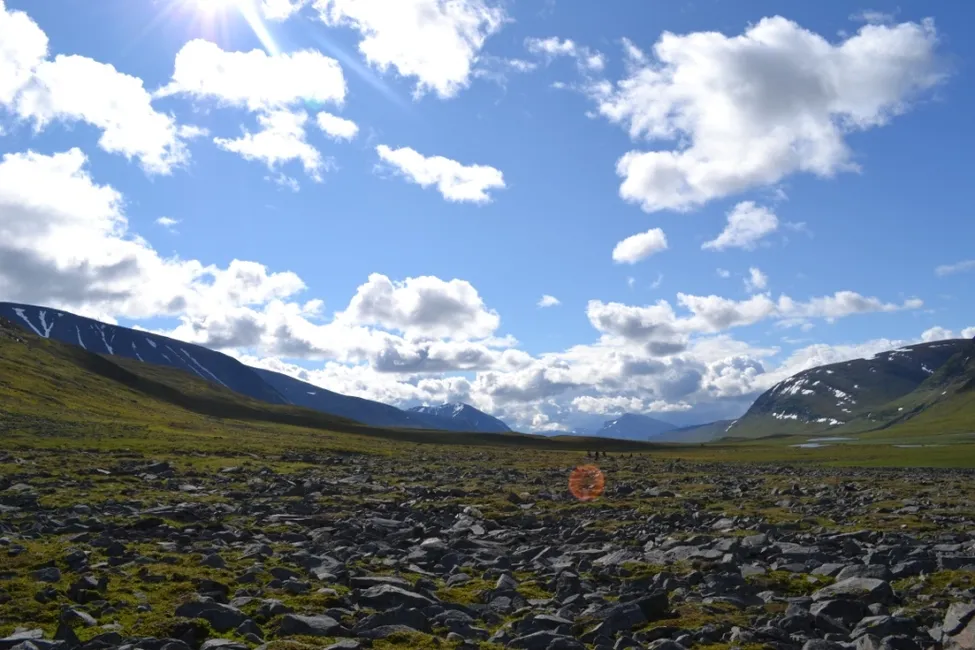 Klicka för att förstora