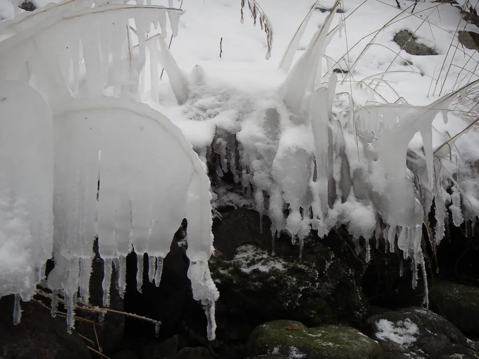 Klicka för att förstora