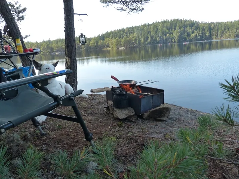 Klicka för att förstora