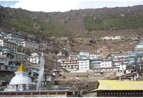 SWET 2010 - 15/3: Namche Bazaar