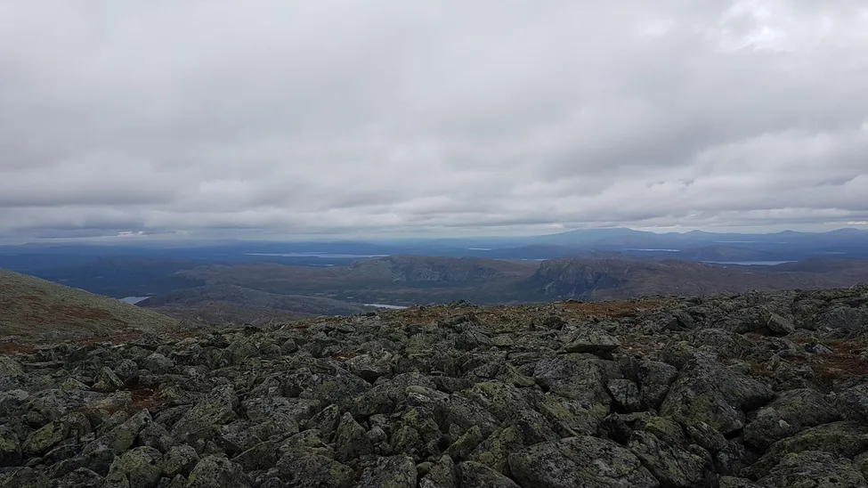Klicka för att förstora
