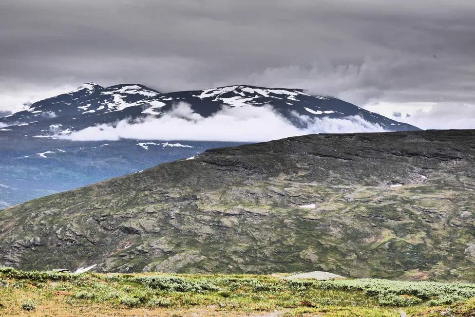 Klicka för att förstora