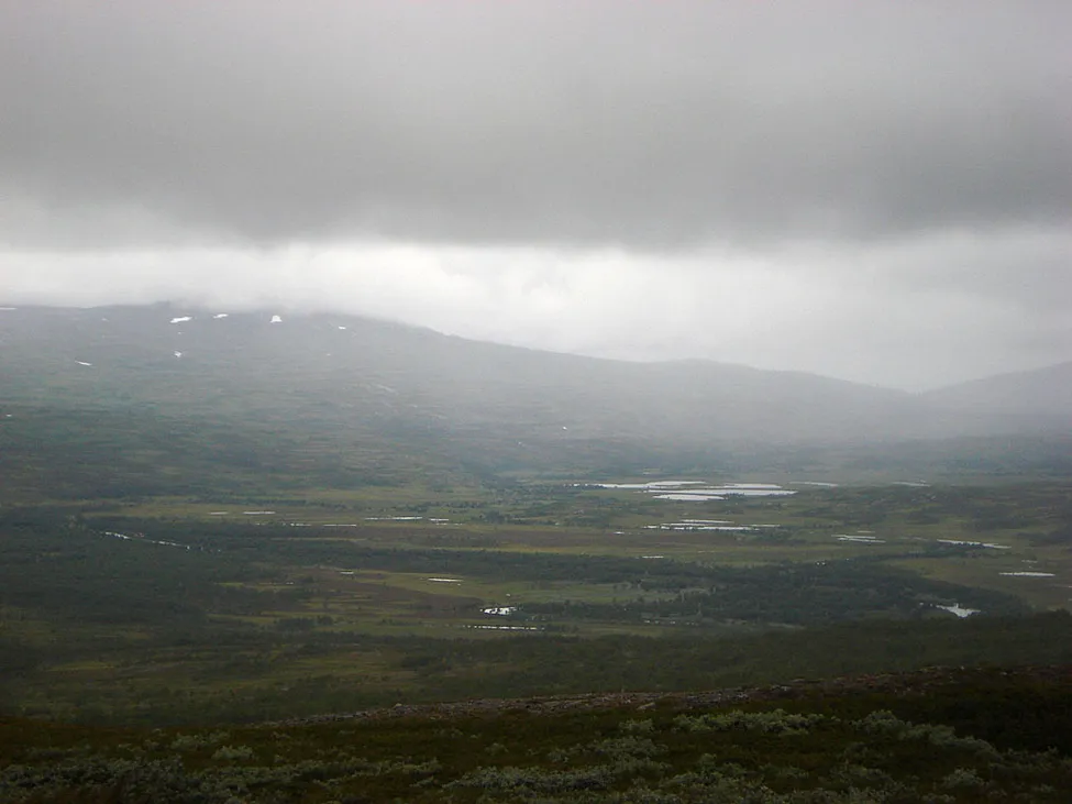 Klicka för att förstora