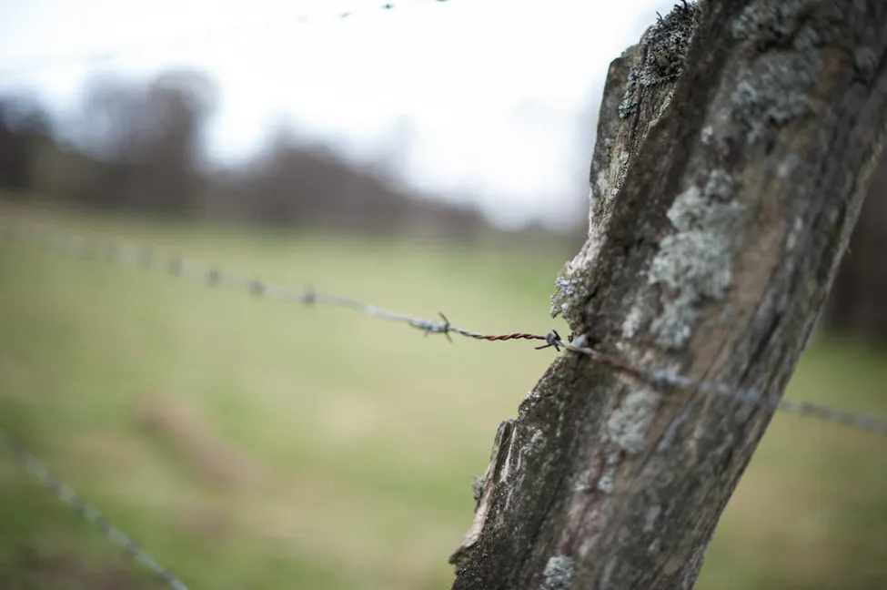 Klicka för att förstora