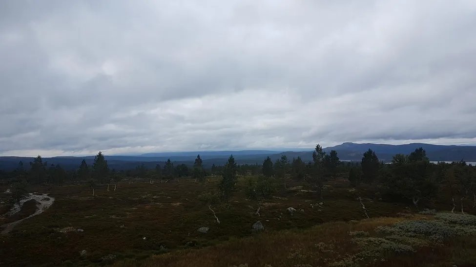Klicka för att förstora