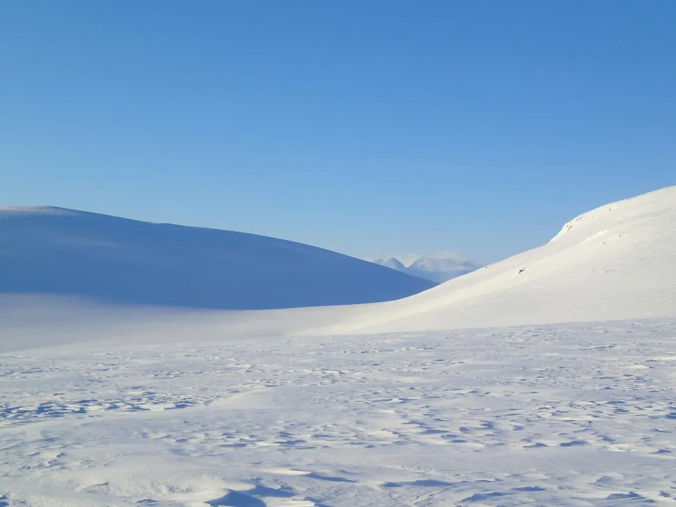 Klicka för att förstora