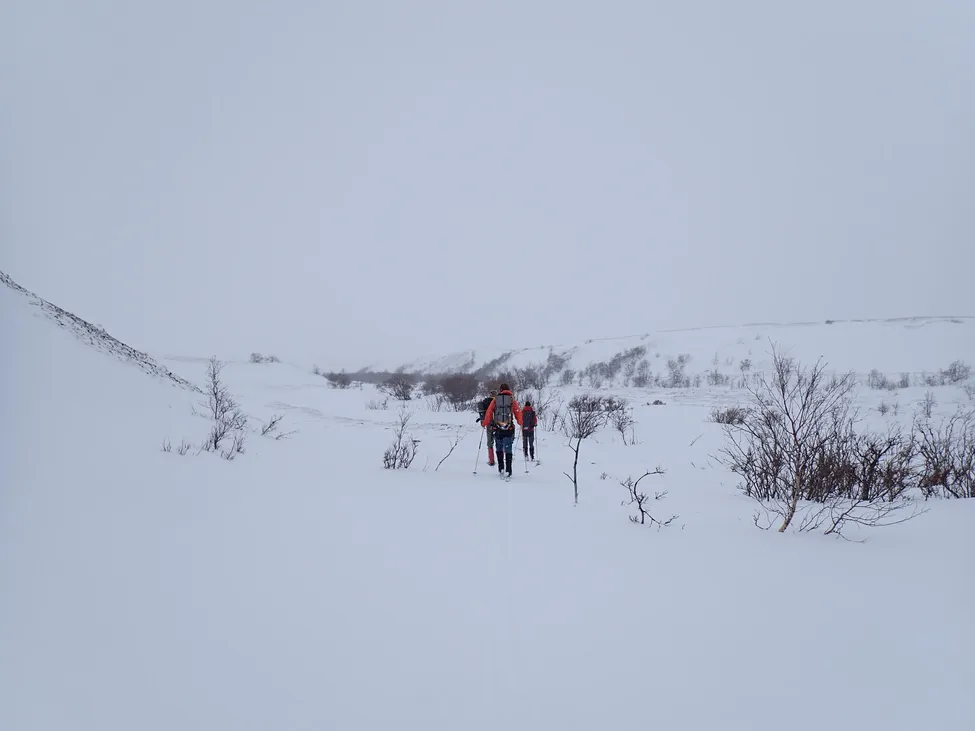 Klicka för att förstora