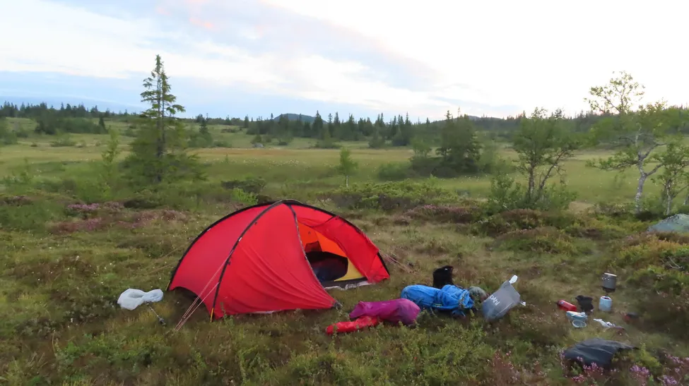 Klicka för att förstora