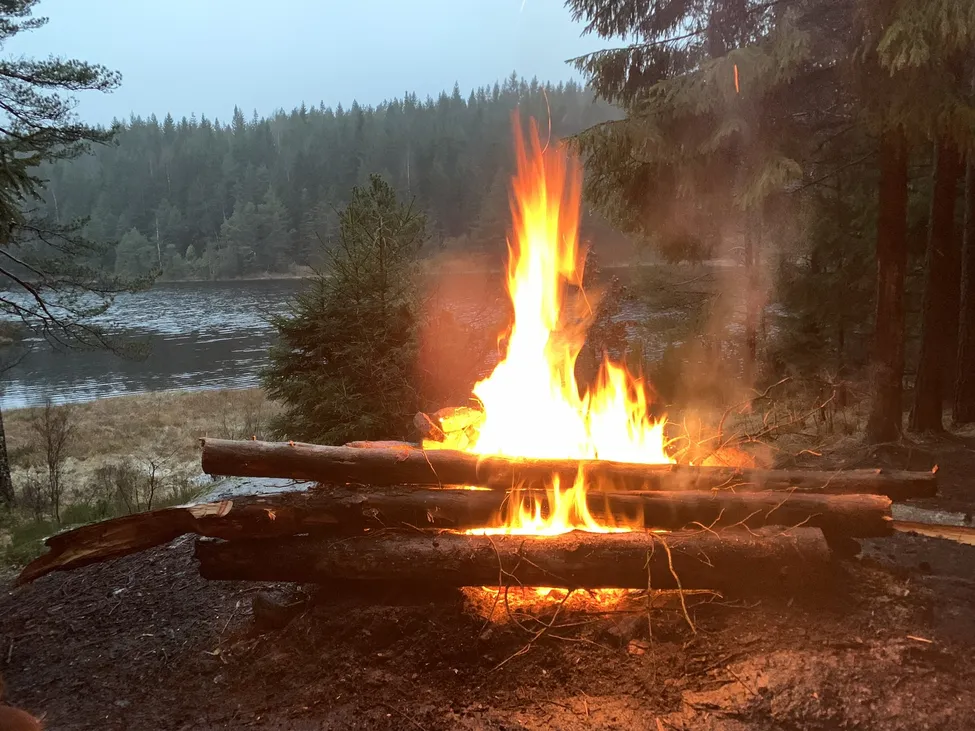 Klicka för att förstora