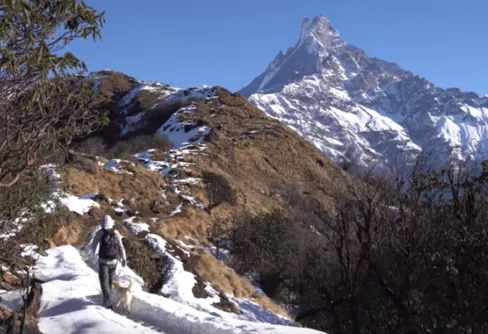 Häng med och vandra Mardi Himal Trek