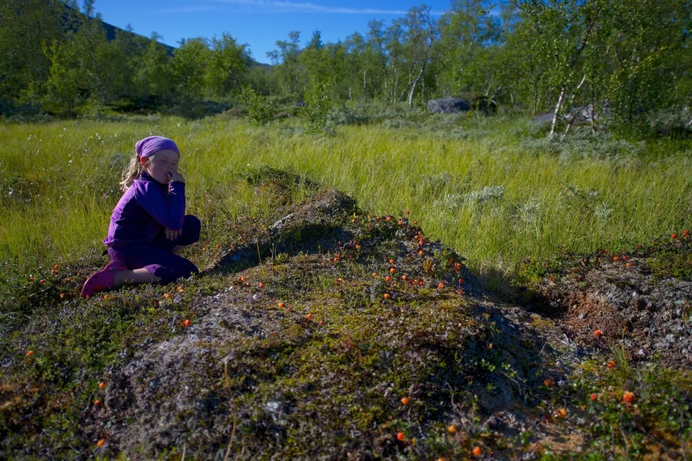 Klicka för att förstora