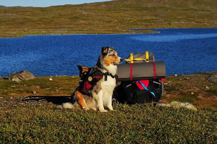 Klicka för att förstora