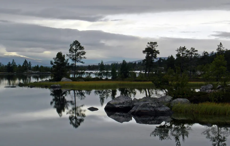 Klicka för att förstora
