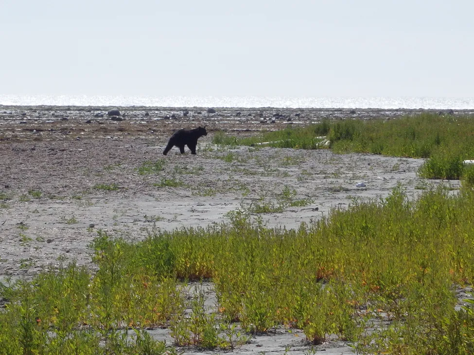 Klicka för att förstora