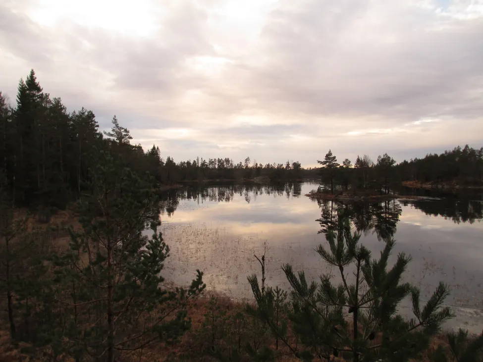 Klicka för att förstora