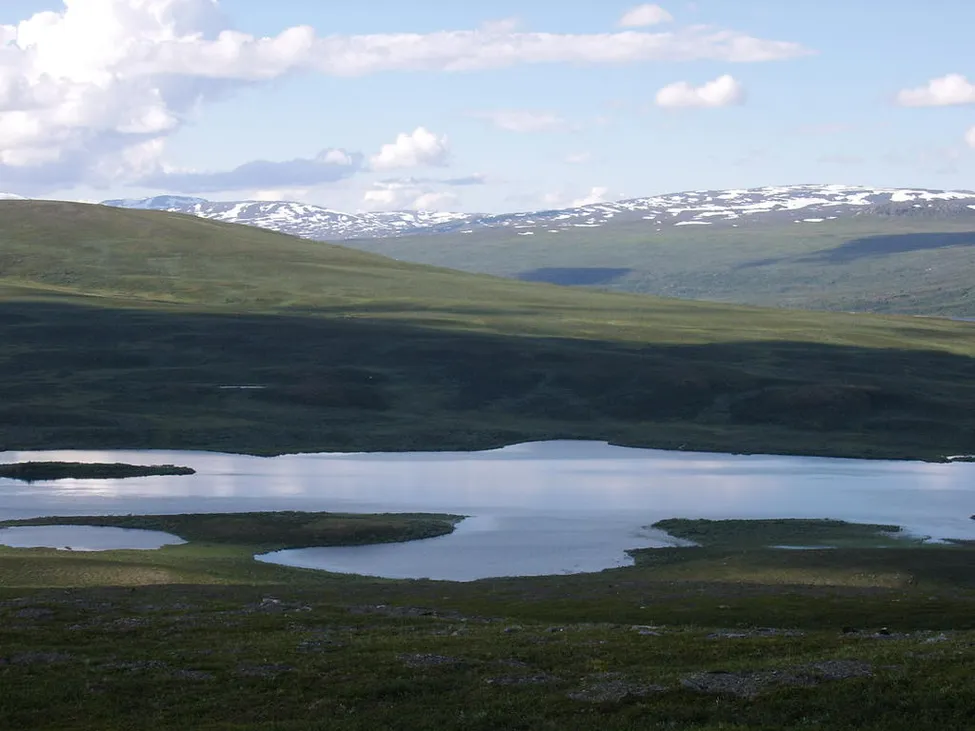 Klicka för att förstora