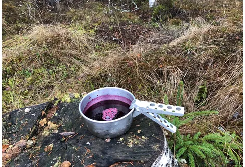 Ta med hemgjord blåbärssoppa på turen