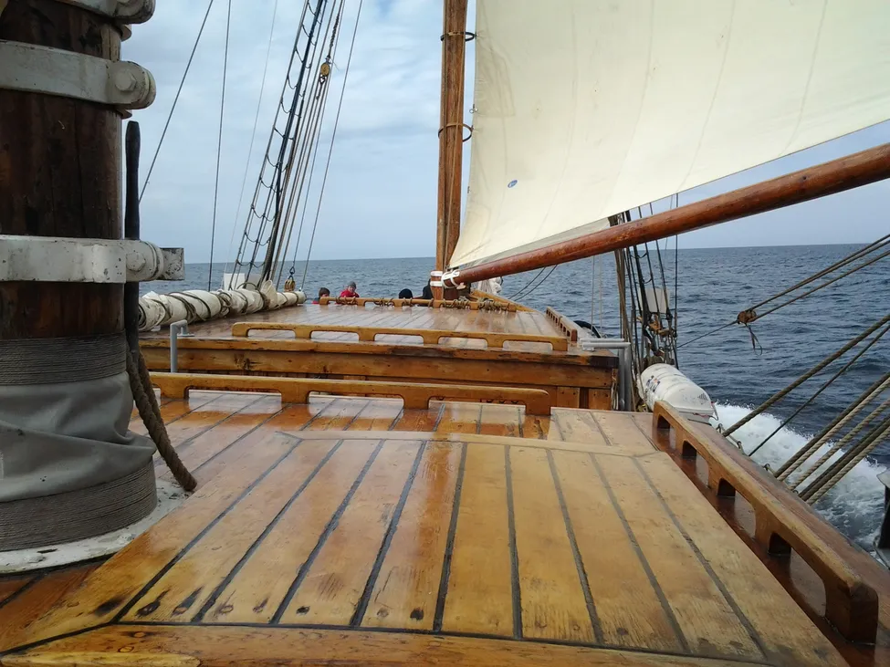 Klicka för att förstora