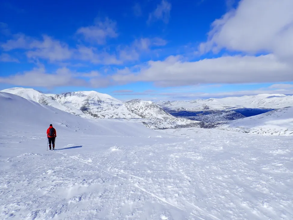Klicka för att förstora