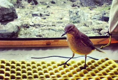 En Annelis favoritpryl - äggkartongsliggunderlag