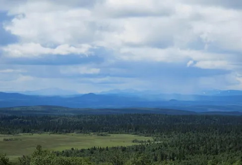 Många beslut om naturreservat 2018