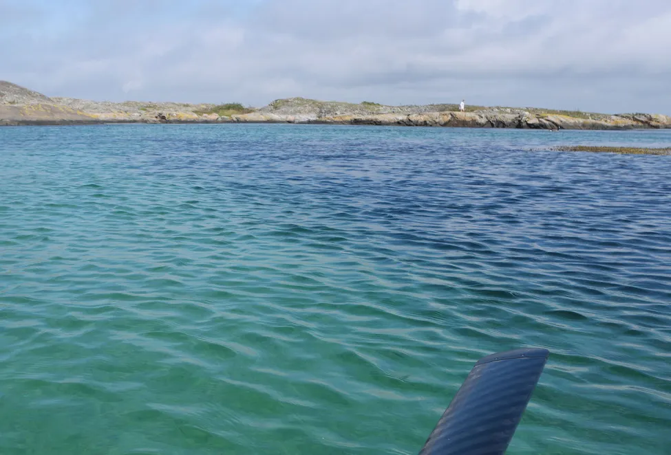 Klicka för att förstora