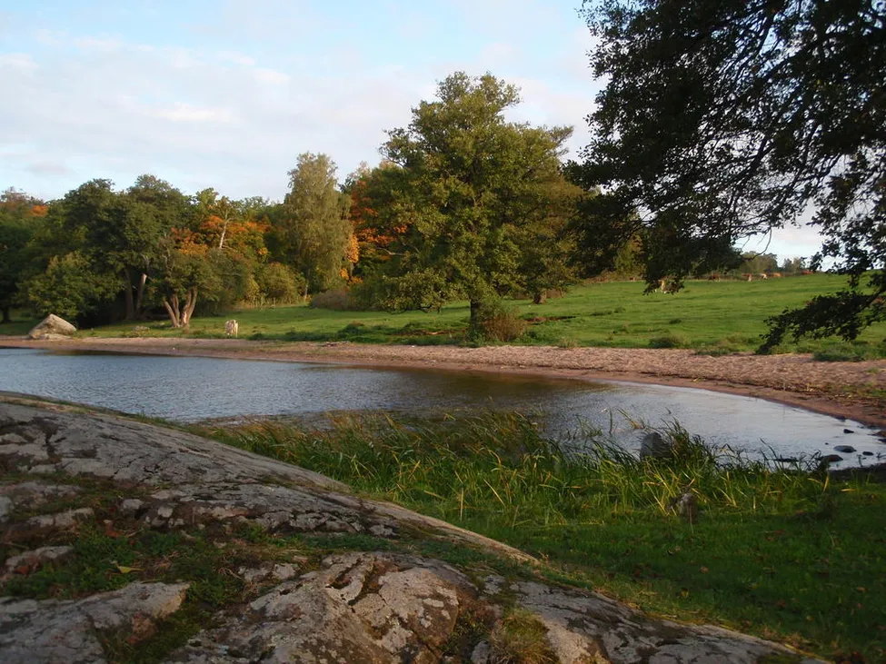 Klicka för att förstora