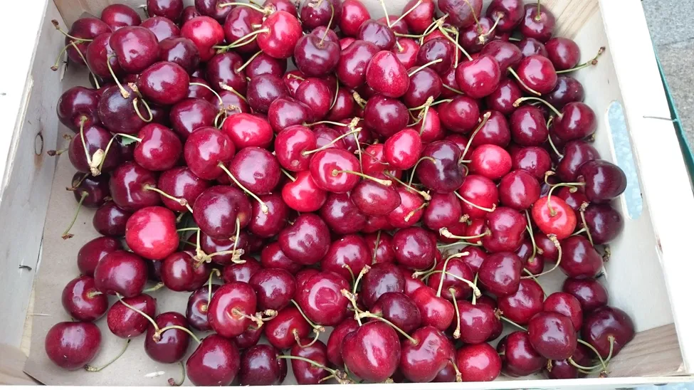 Klicka för att förstora