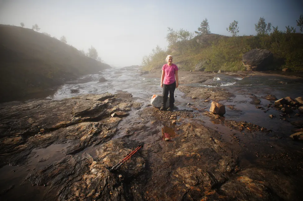 Klicka för att förstora