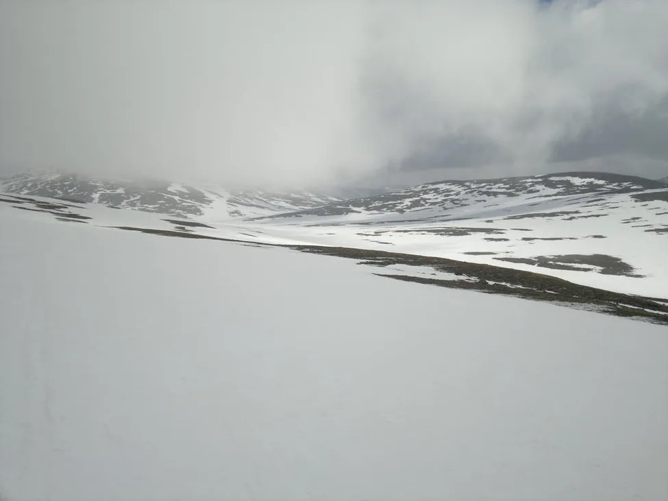 Klicka för att förstora