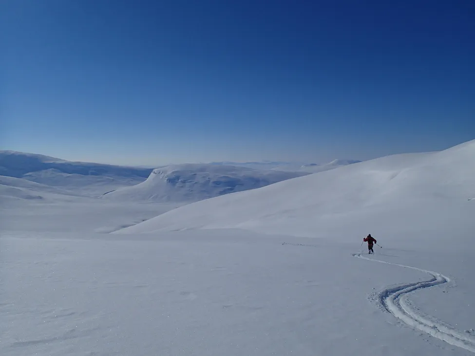 Klicka för att förstora