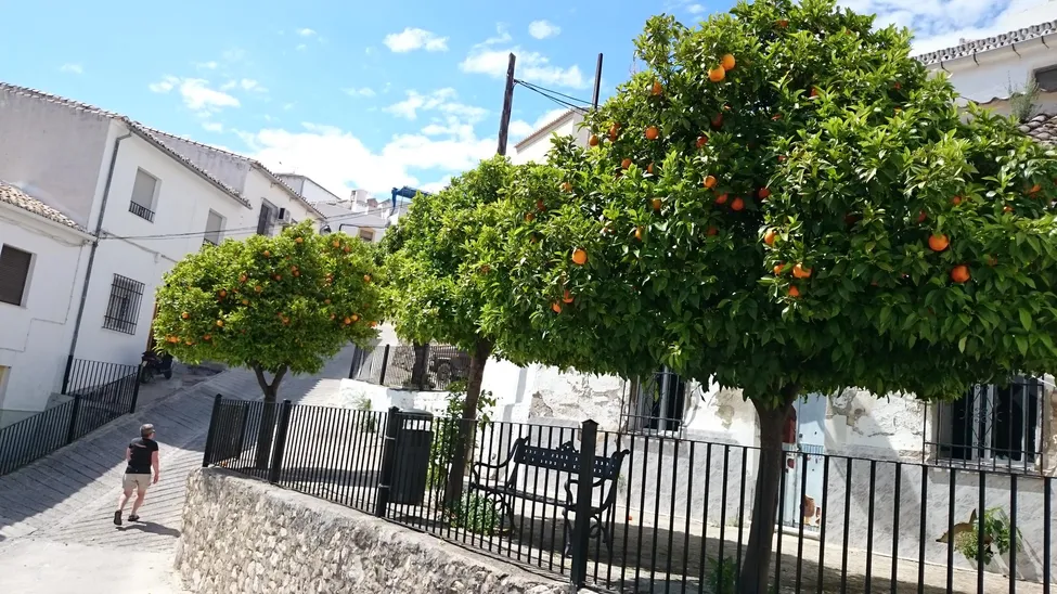 Klicka för att förstora