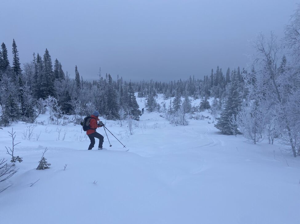 Klicka för att förstora