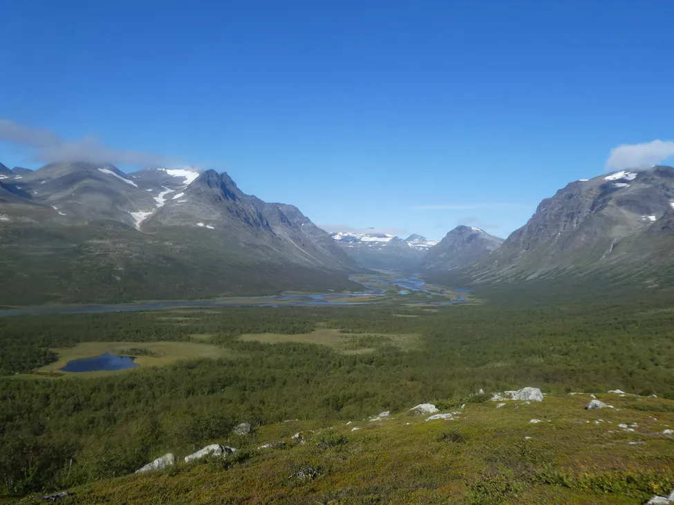 Klicka för att förstora