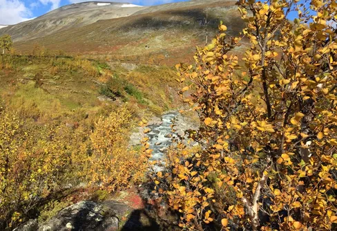 Alla Gröna bandetvandrare nu i mål