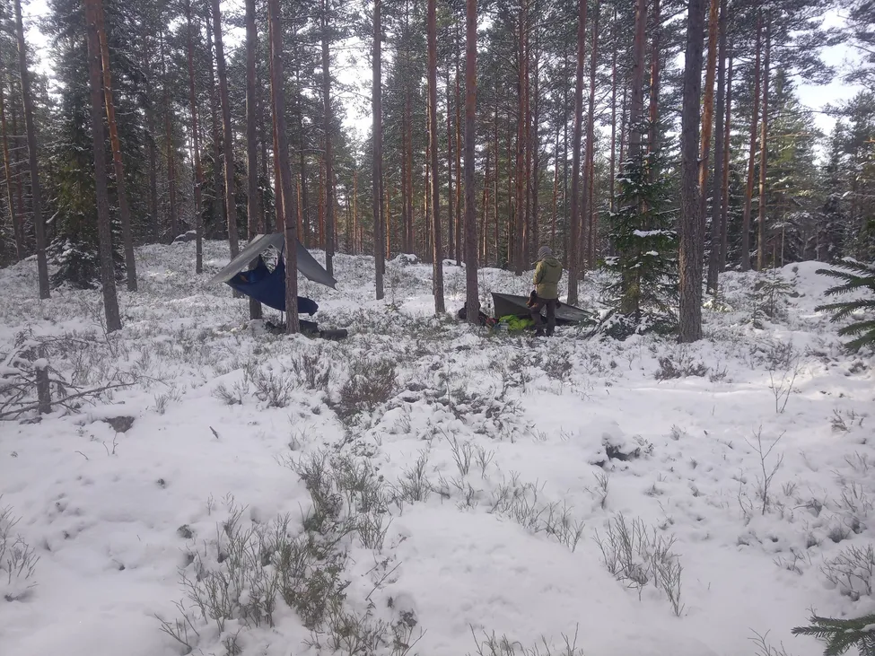 Klicka för att förstora