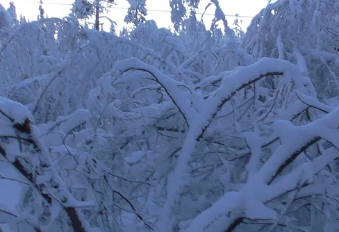 Första snön och strömavbrott