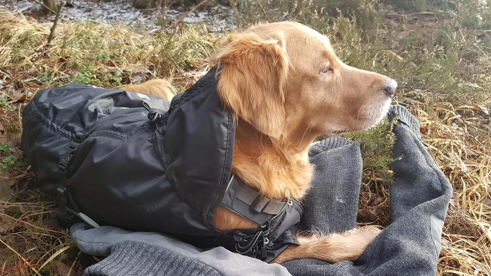 Klicka för att förstora