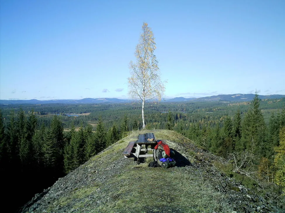 Klicka för att förstora
