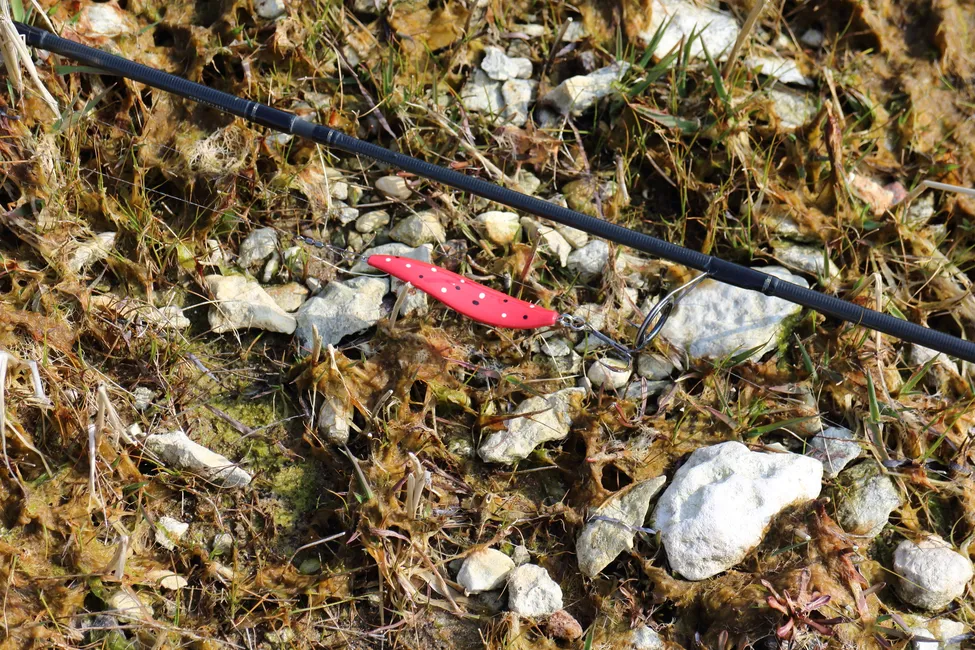 Klicka för att förstora