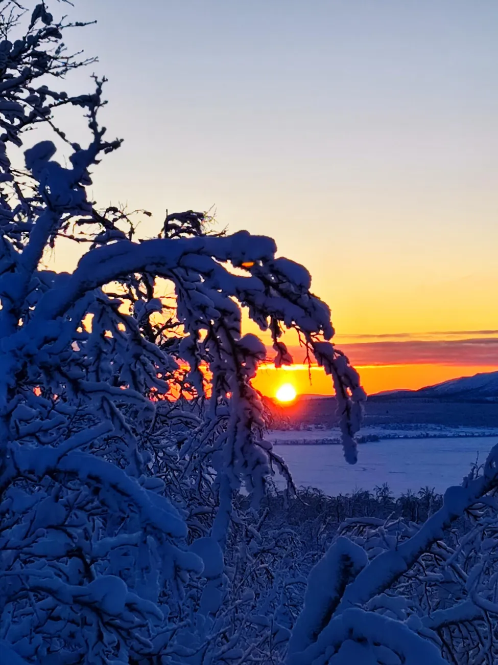 Klicka för att förstora