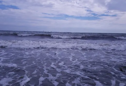 Ven- mer än Tycho Brahe