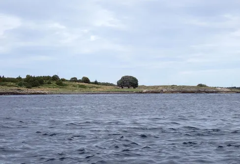 Dag 95 Tviberg - Sörsandhalsen