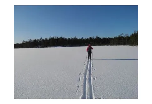 Turskidor i  Stockholm och på fjället