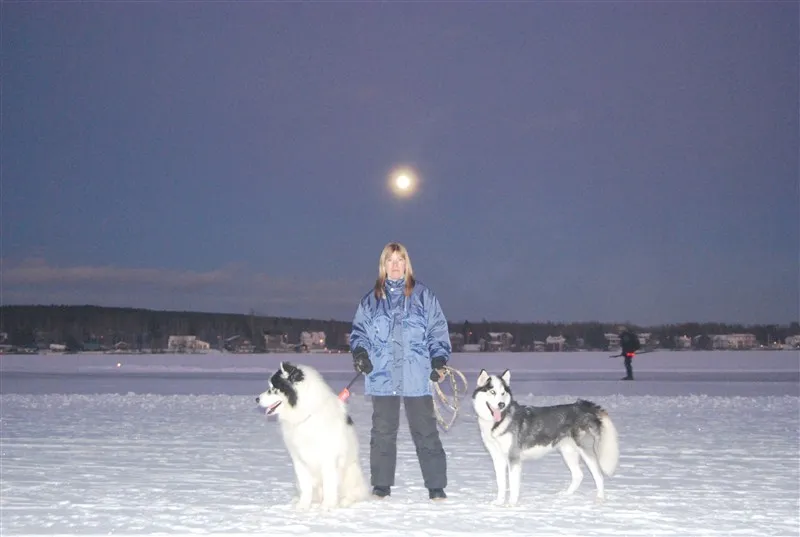 Klicka för att förstora