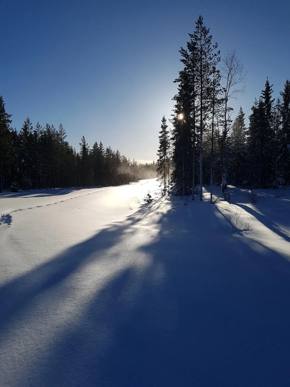 Klicka för att förstora