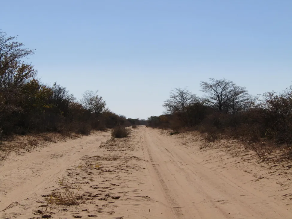 Klicka för att förstora