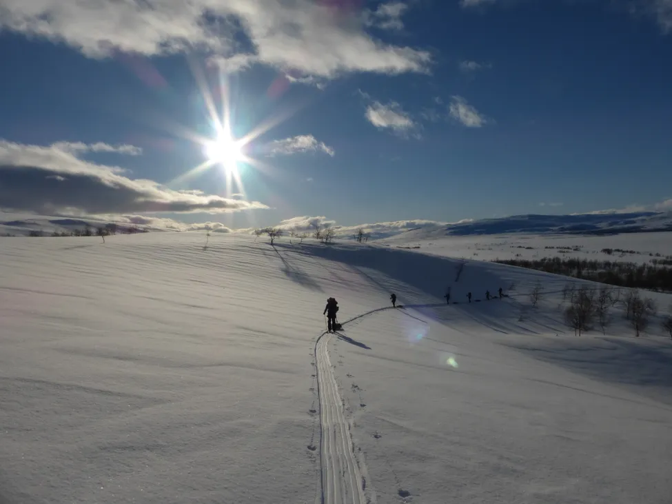 Klicka för att förstora